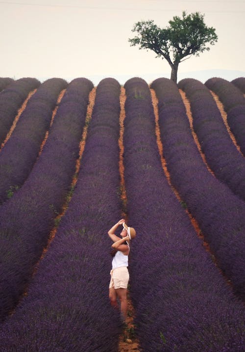 Woman in hat in lavender field of Provence in France