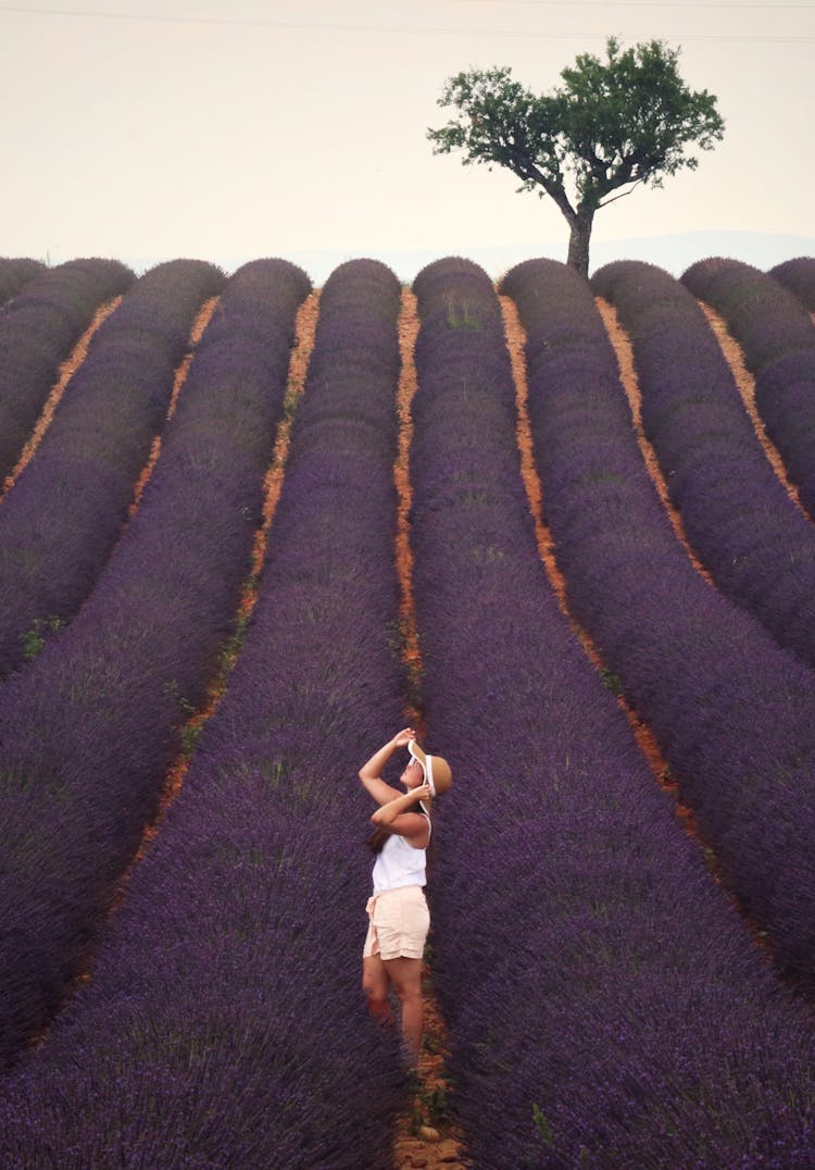 Woman In Hat In Lavender Field Of Provence In France