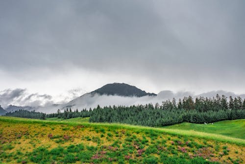 Free Green Grass Field Near Mountain Under Gloomy Sky Stock Photo
