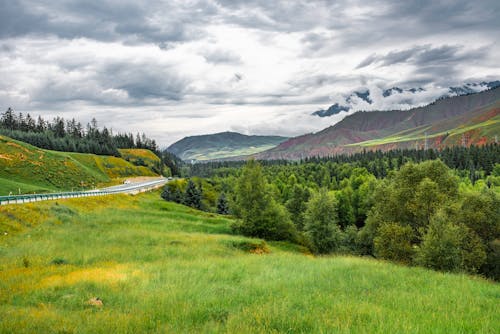 Green Grass Field Near Green Trees and Mountains Under Cloudy Sky