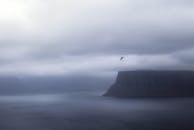 一只孤独的海鸟翱翔在云雾缭绕的海面上，高耸的悬崖笼罩在宁静的多云天空下