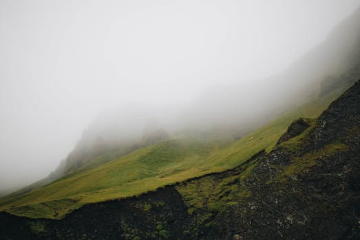 在柔和的光线下，薄雾覆盖着宁静的绿色山坡
