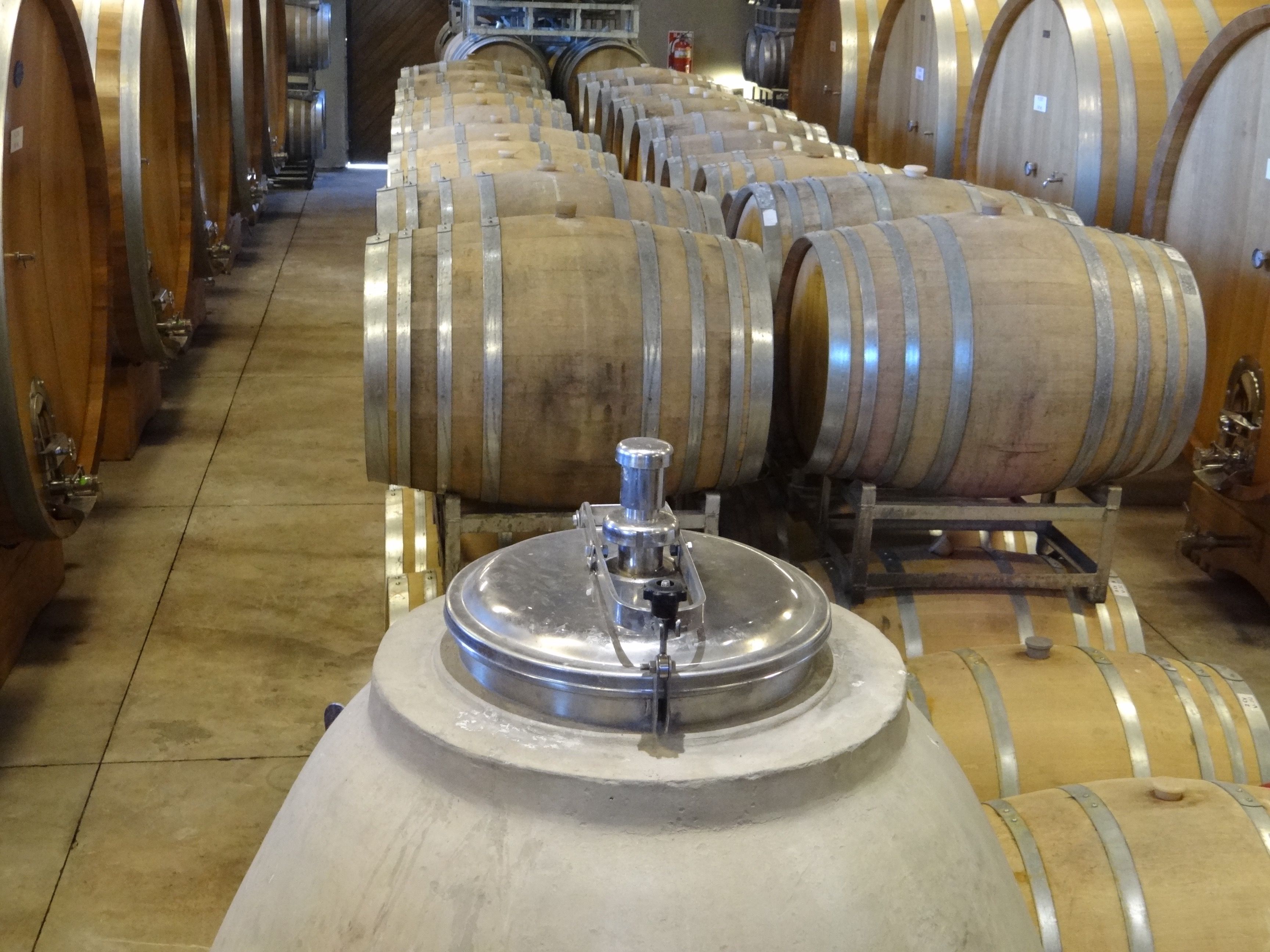 Free stock photo of barrels, cellar, wine