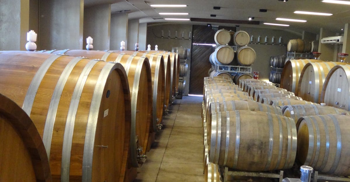 Free stock photo of barrels, cellar, wine