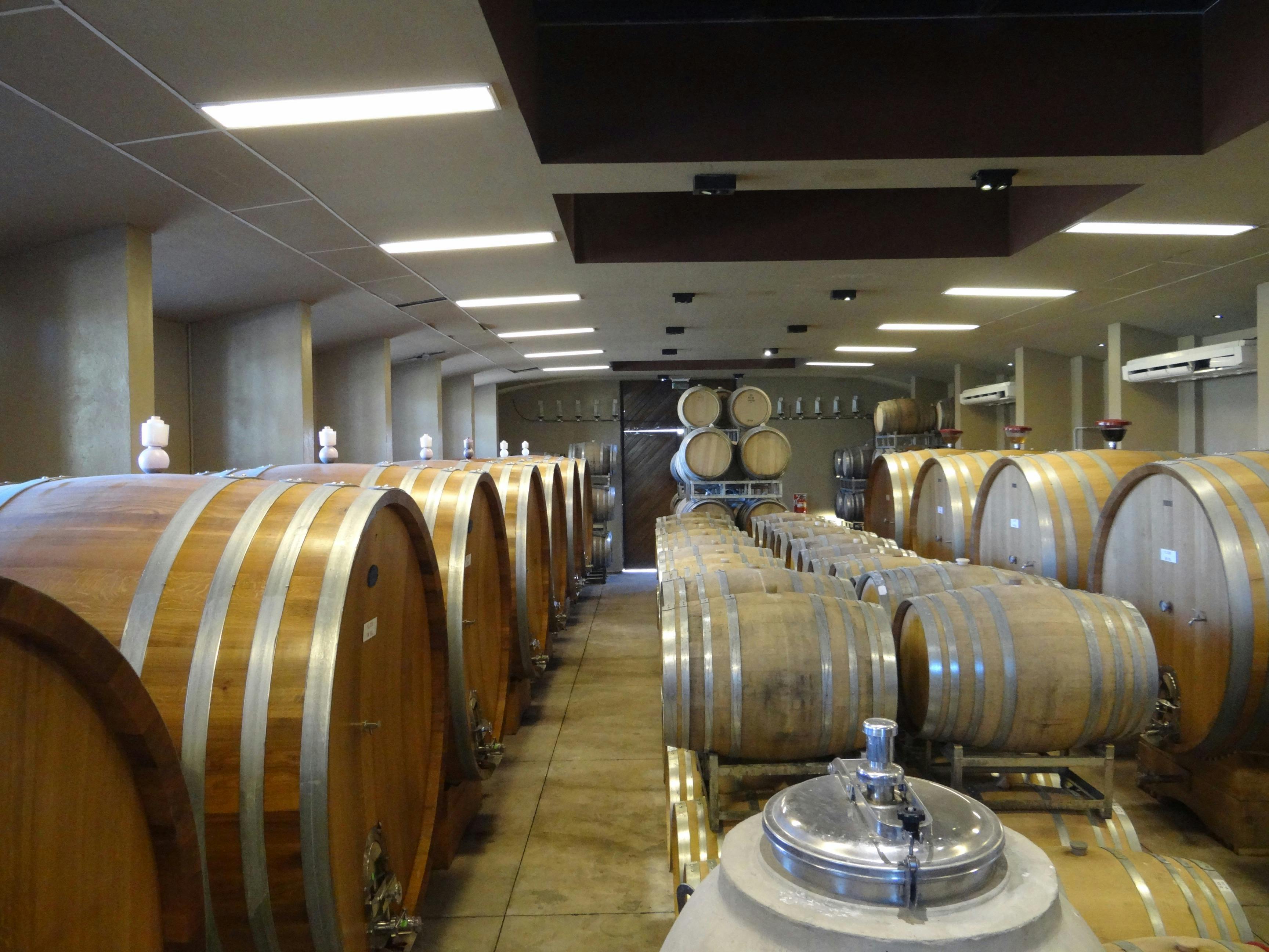 Free stock photo of barrels, cellar, wine