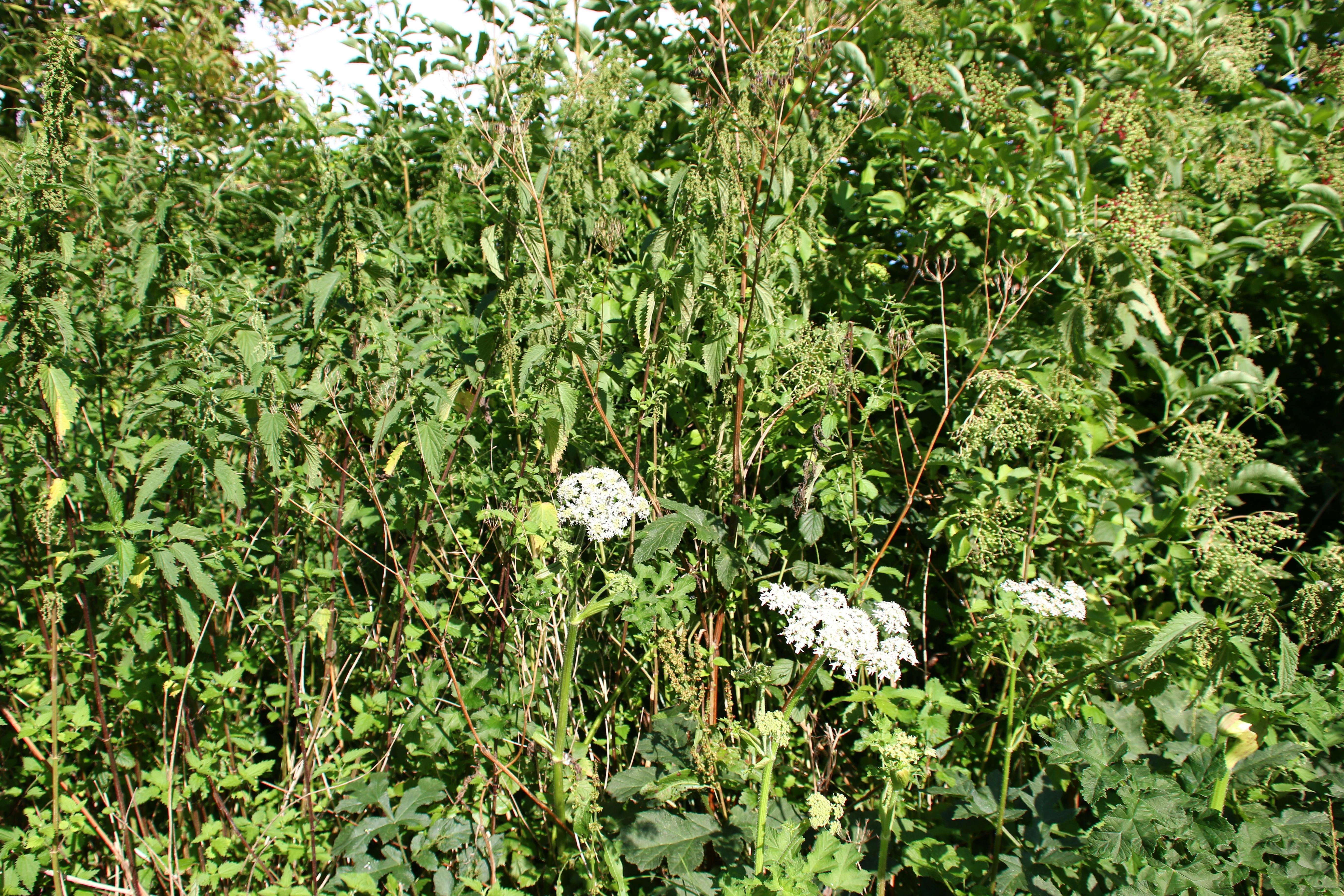 Y2K 명품 미니백 스타일