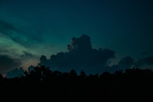 Silhouette of Trees Under Blue Sky