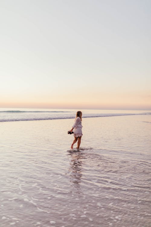 걷고 있는, 레저, 바다의 무료 스톡 사진