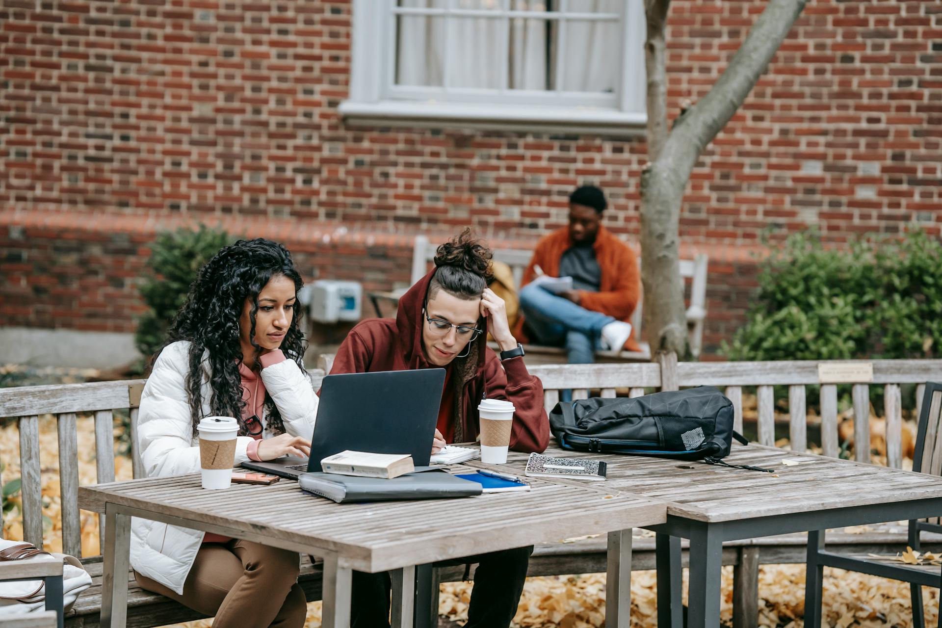 Young adults studying with laptops outside on a college campus in fall.