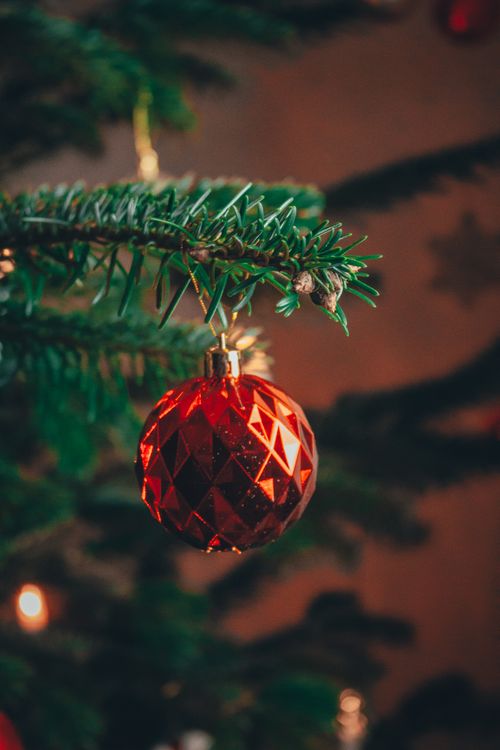 Free Close-up of a red Christmas ornament hanging on a pine branch, perfect for holiday decor themes. Stock Photo
