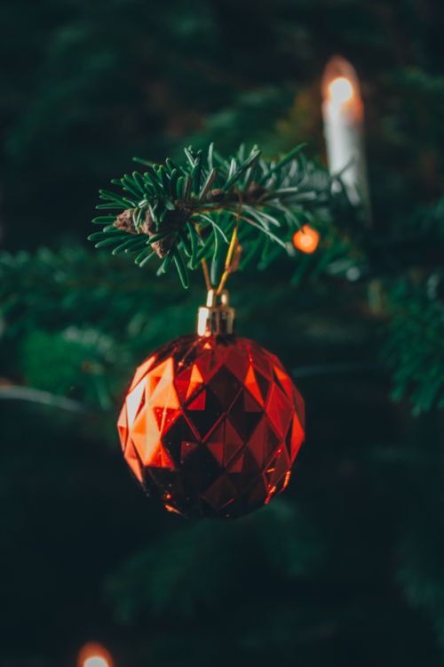 Free A close-up of a red Christmas ornament hanging on a green evergreen branch with warm lighting. Stock Photo