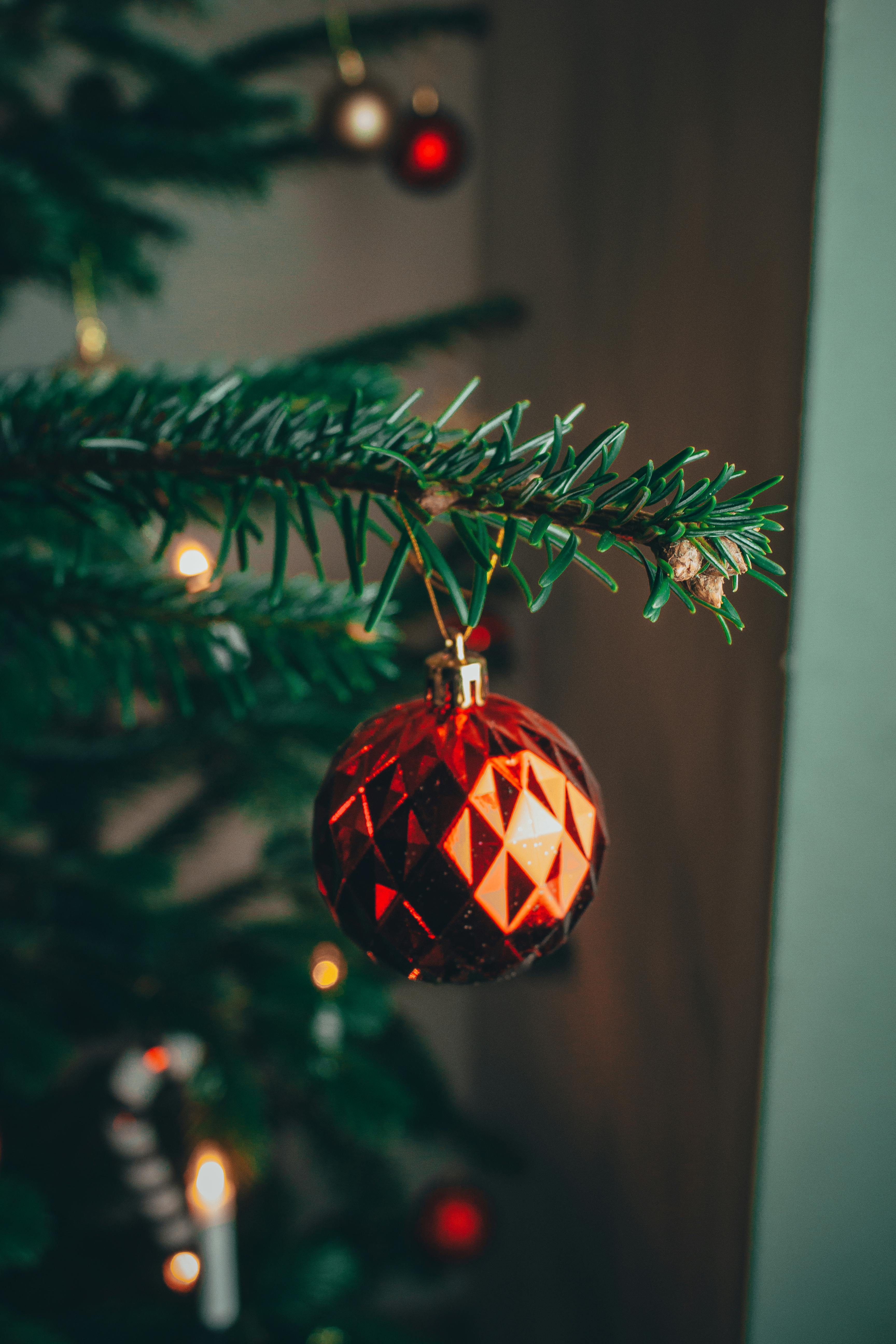 Shallow Focus Photography Of Gold Bauble Hanging On Christmas Tree ...