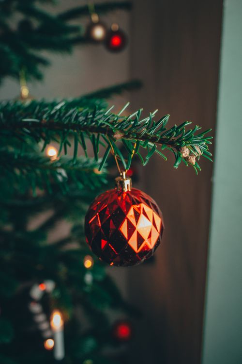 Free Close-up of a red Christmas ornament hanging on a pine tree branch indoors, evoking festive cheer. Stock Photo