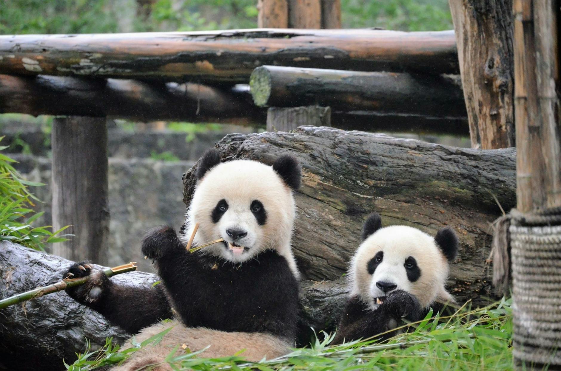 图片3