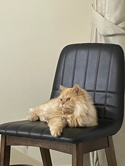 Cliente de SmartCapital