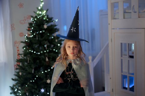 Foto d'estoc gratuïta de adorable, arbre de Nadal, barret