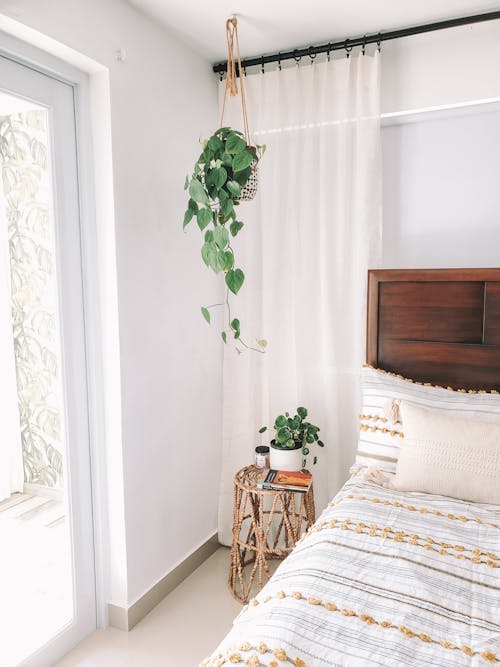 Free Bohemian Style Bedroom Interior with Indoor Plants Stock Photo
