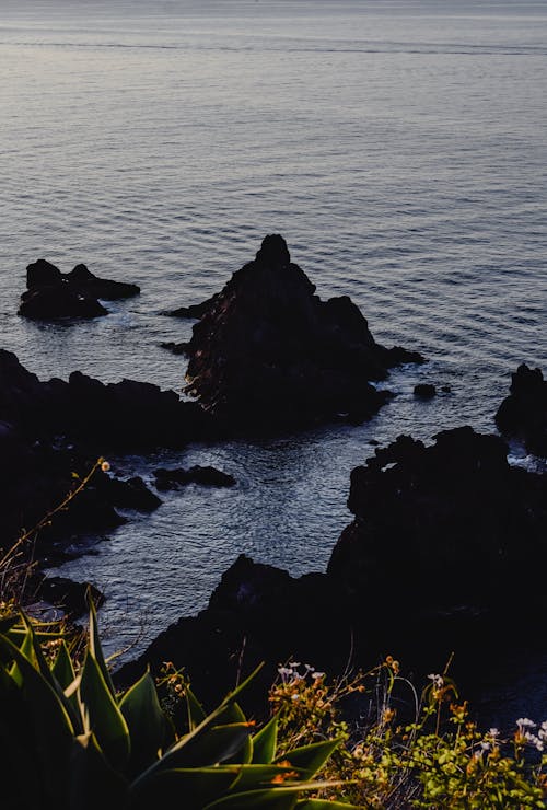 水域の黒い岩