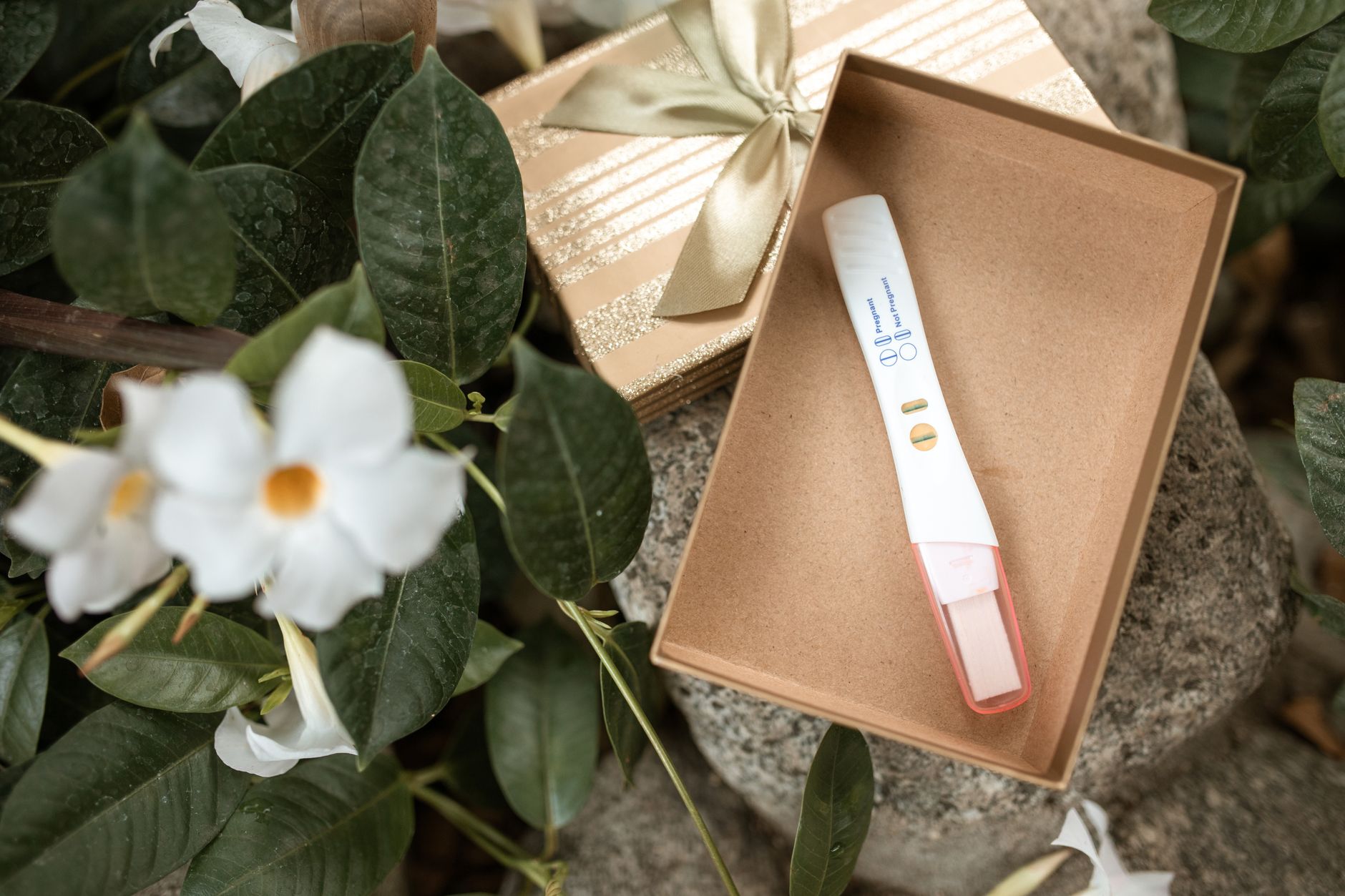 <img src="result-of-pregnancy-test.jpeg" alt="result of pregnancy test">