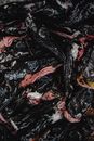 Black and White Abstract Painting