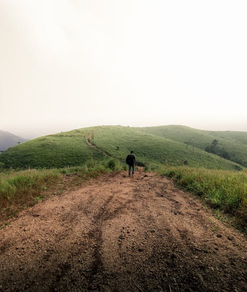 Man Hiking on the Hills on a Foggy Day 