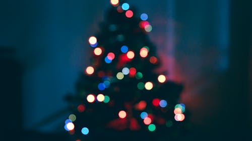 A Christmas Tree with Lighted Christmas Lights