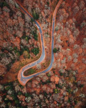 Captivating aerial shot of a winding road in Bolu, Turkey, surrounded by vibrant autumn forest.