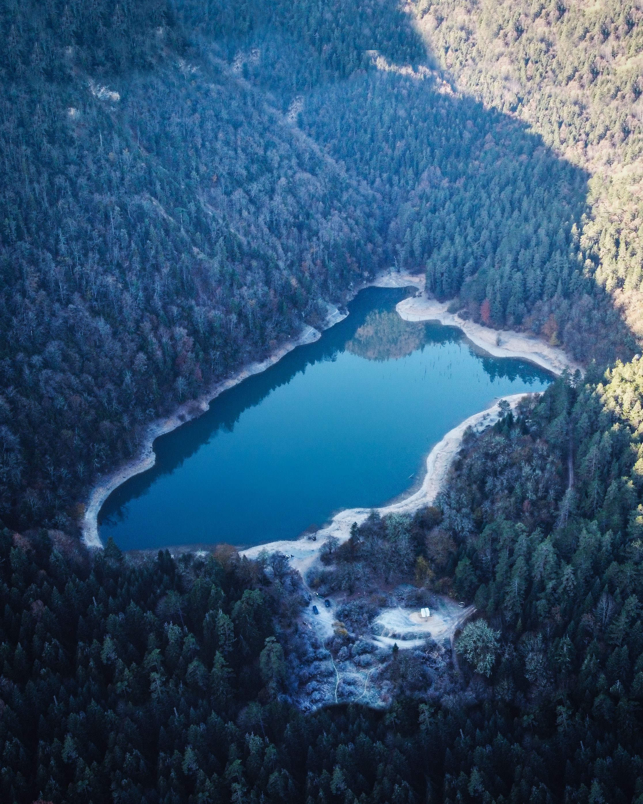 Aerial View of Lake in the Forest · Free Stock Photo