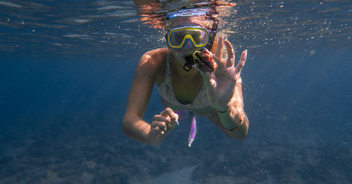 Things To Do — Caribbean travel photography
