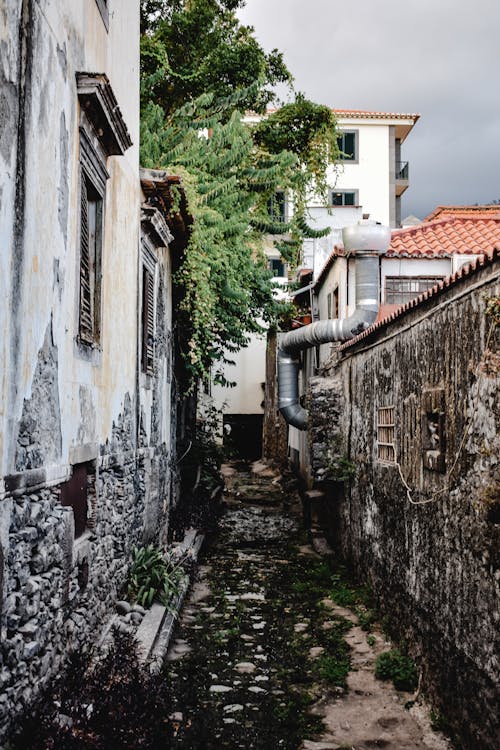 Dirty Alley Between Houses