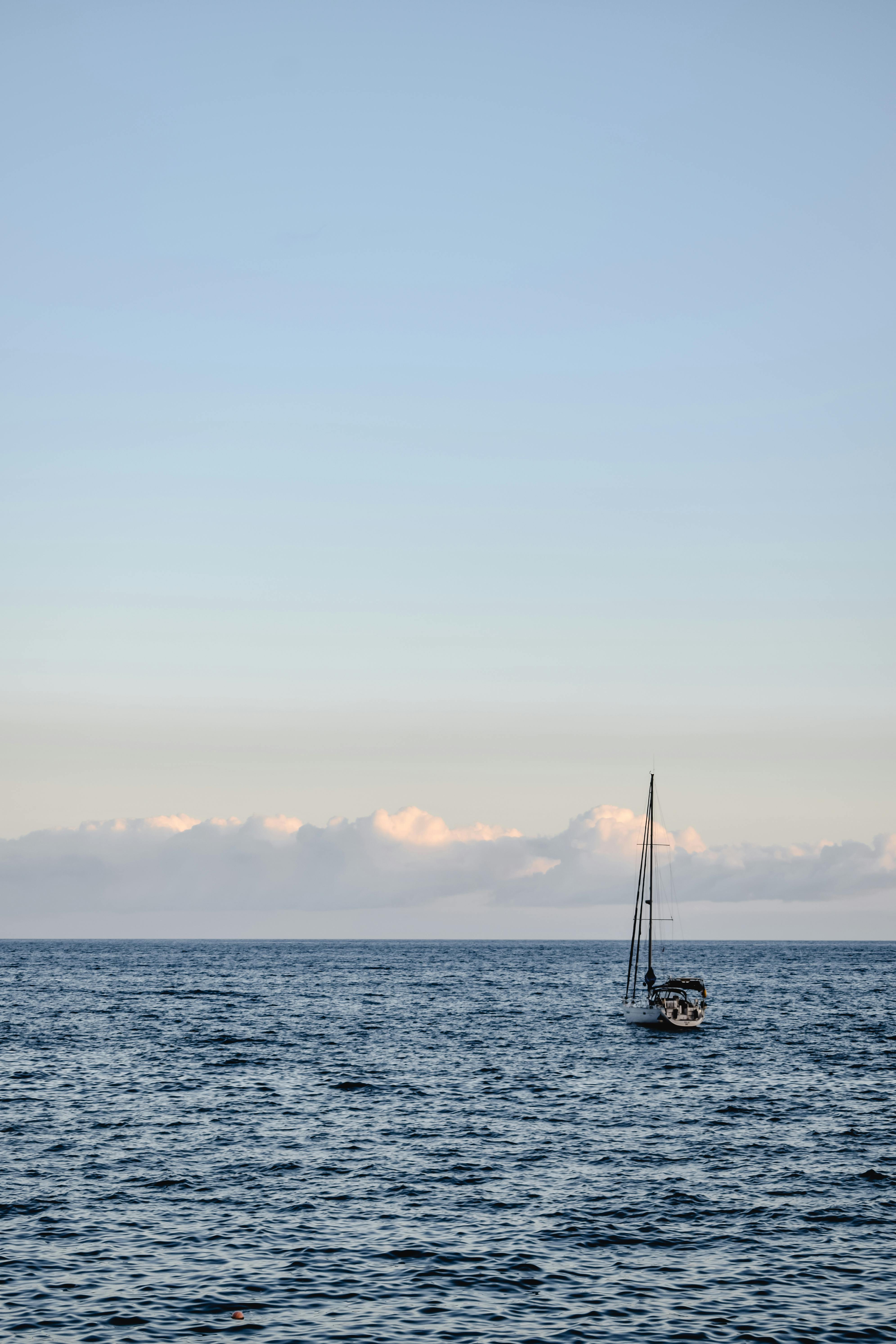 20,000+ Best Dragon Boat Photos · 100% Free Download · Pexels Stock Photos