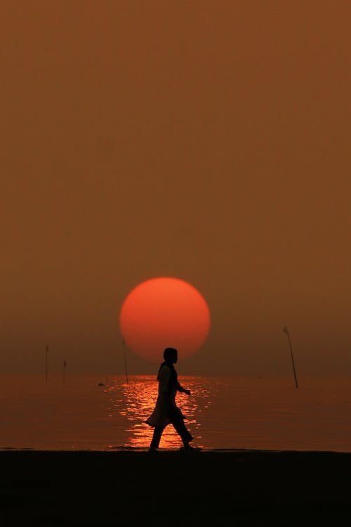 Free Silhouette of a Person Walking on Beach during Sunset Stock Photo