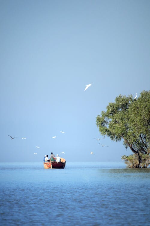 Brown Boat on Body of Water