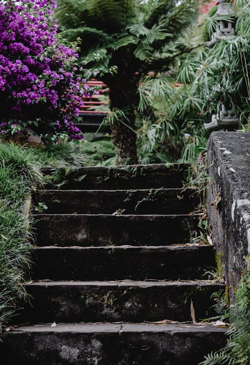 Free A Concrete Stairway in the Garden Stock Photo