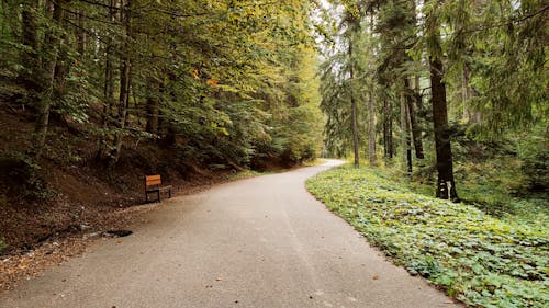 Základová fotografie zdarma na téma beton, dopravní systém, dřevo