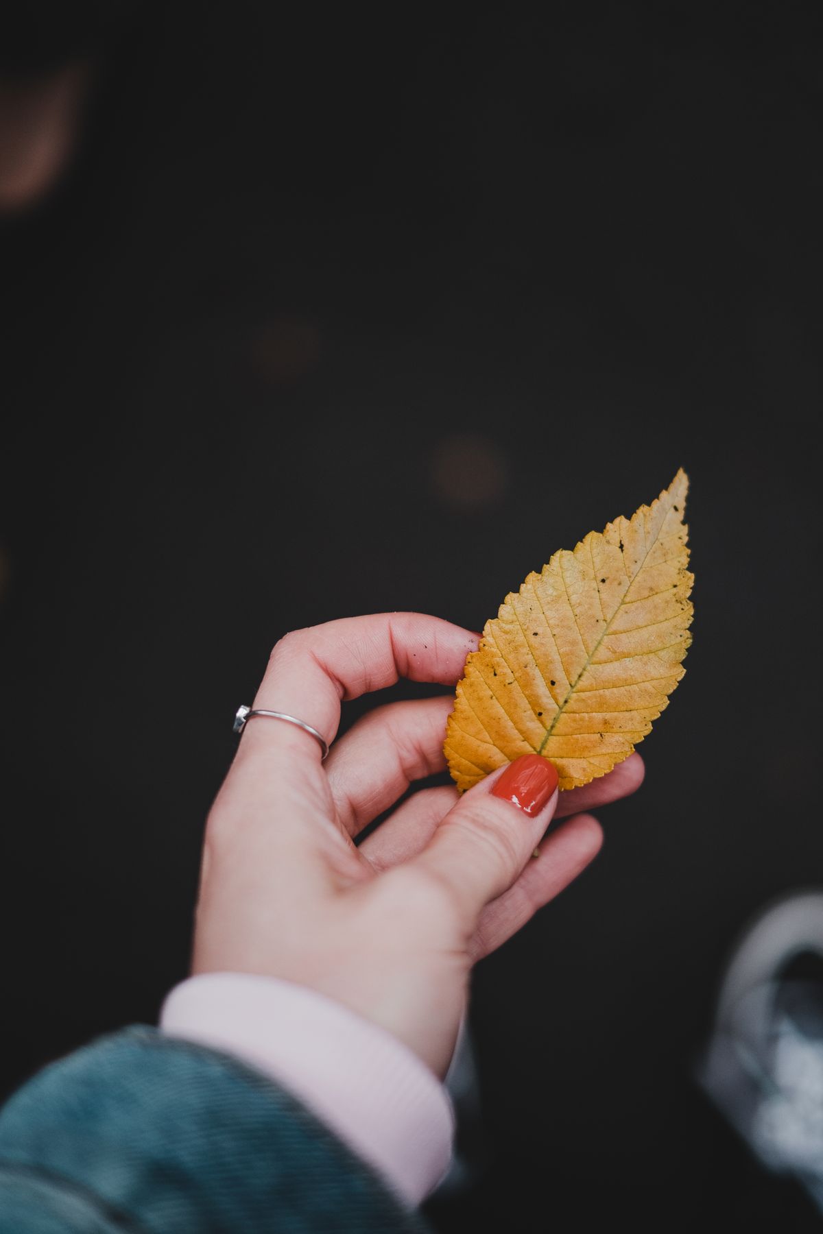 A close-up image of a hand with manicured nails holding a yellow autumn leaf.