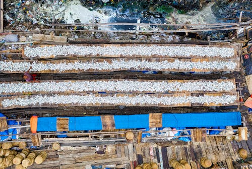 Rows of fish drying on street in poor district