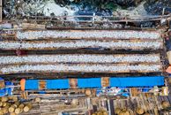 Rows of fish drying on street in poor district
