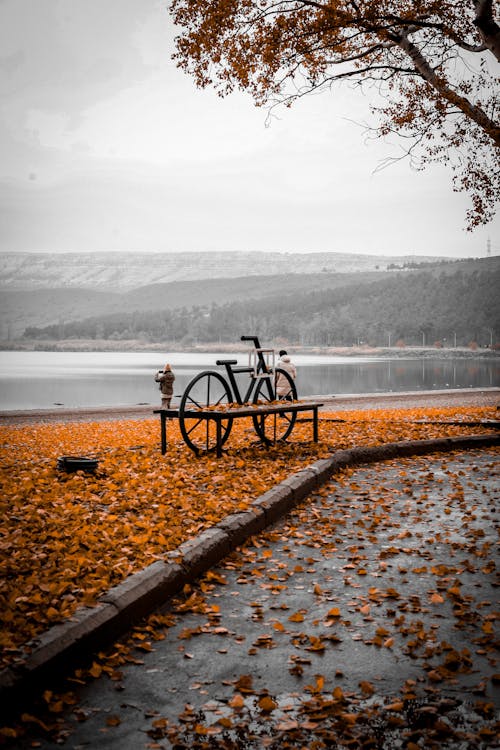 Bicycle parked near bench on ground with orange fallen foliage near road and tree with pond and hills on background in autumn day under gray cloudy sky