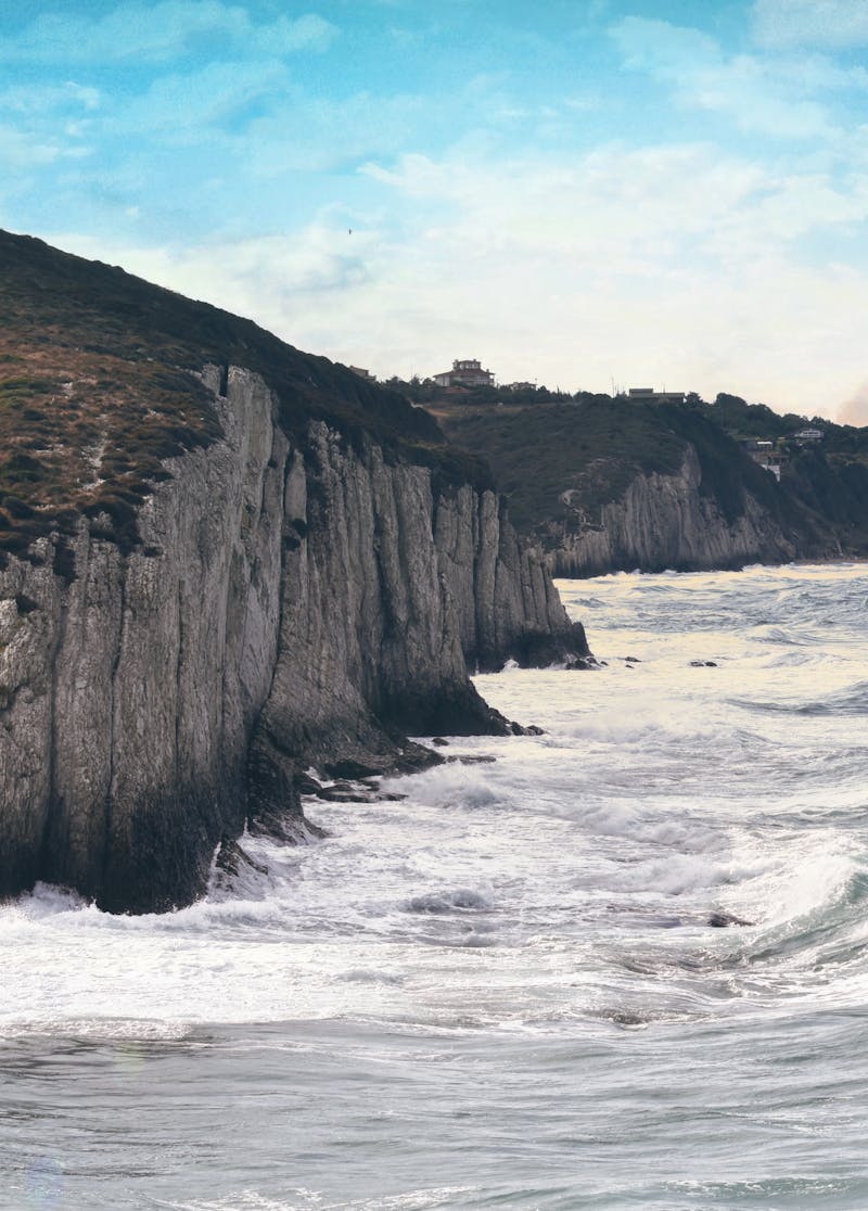 Grup de studiu discutând despre muzică