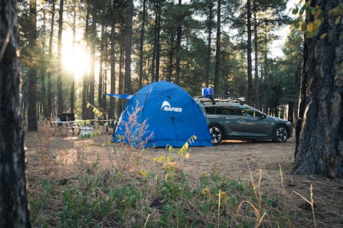 Blue Dome Tent on Brown Ground
