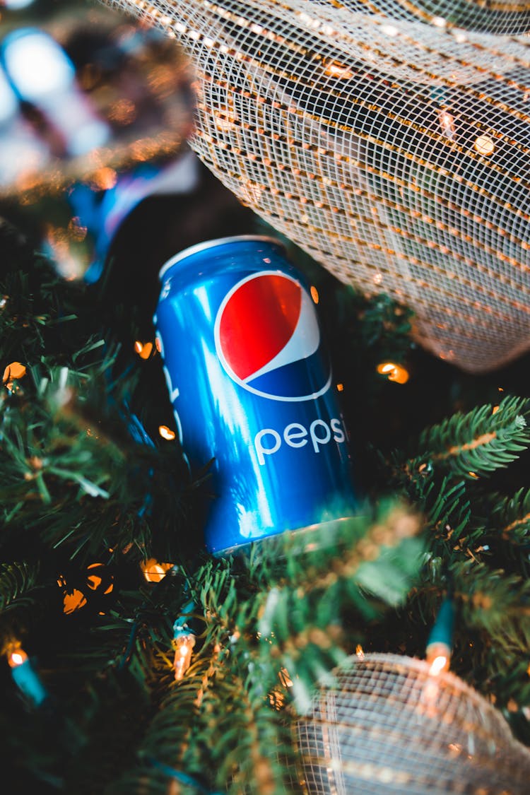 Can Of Carbonated Drink On Fir Tree Branch With Garlands