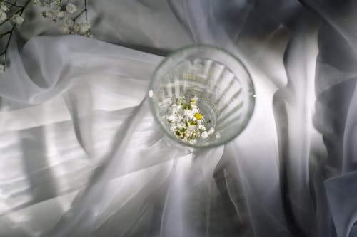 
A Close-Up Shot of a Glass with Chamomile Flowers