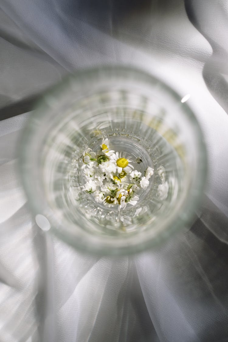 Photo Of Chamomile Flowers In A Glass