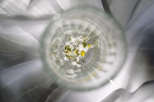 Yellow and White Flower on Clear Glass Round Plate