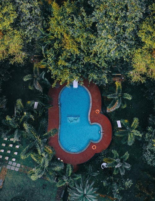 
An Aerial Shot of a Swimming Pool