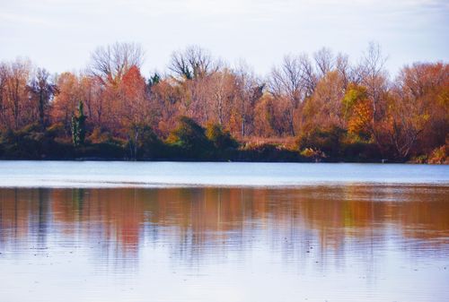 Free A peaceful autumn scene with a lake reflecting colorful trees, evoking tranquility and natural beauty. Stock Photo