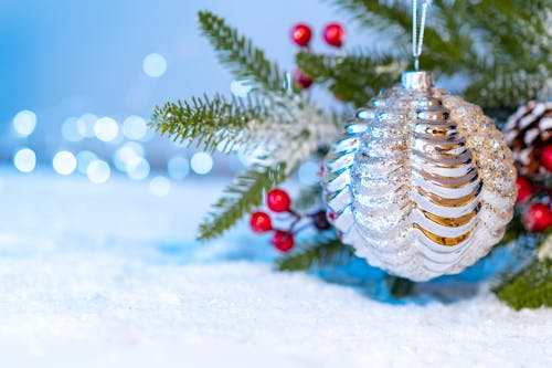 Free Green branch decorated with bauble Stock Photo