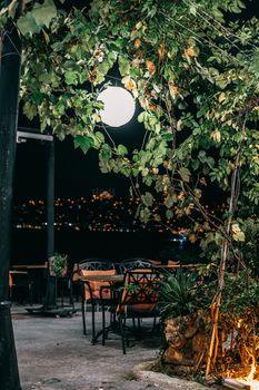 Exterior of modern street cafe with furniture among trees with fresh green leaves under bright lamp in late evening