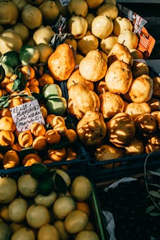 From above assorted ripe fruits displayed on stall in street market on sunny day